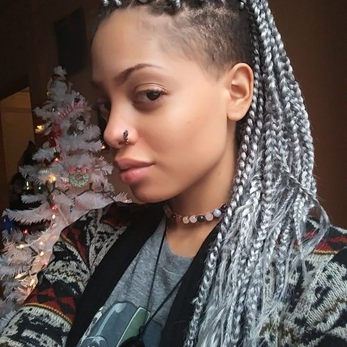 Shaved Platinum Hairstyles With Micro Braids (Photo 1 of 20)