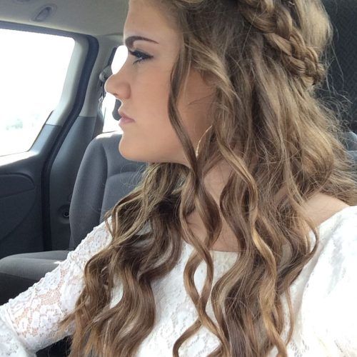 Braided Hairstyles For Homecoming (Photo 3 of 15)
