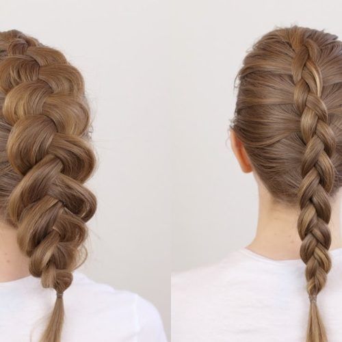 Thick And Thin Braided Hairstyles (Photo 18 of 20)