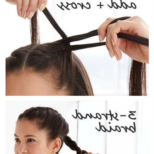 Braided Hairstyles For Runners (Photo 4 of 15)