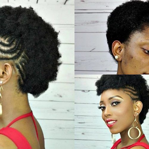 Side Braided Mohawk Hairstyles With Curls (Photo 19 of 20)