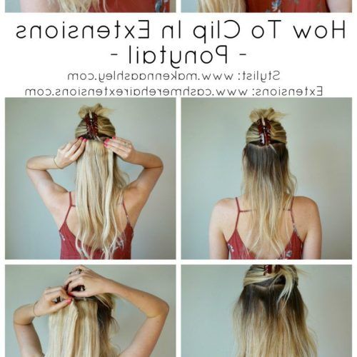 Halo Ponytail Hairstyles (Photo 6 of 20)