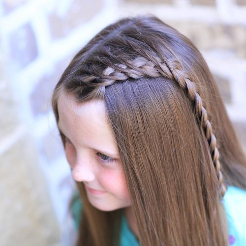Braided Hairstyles For Straight Hair (Photo 15 of 15)