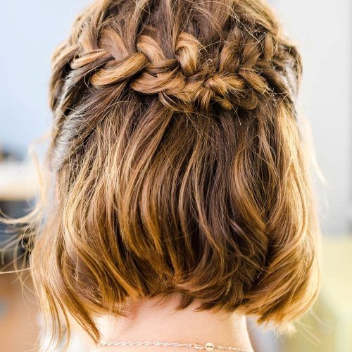 Braided Along The Way Hairstyles (Photo 13 of 20)