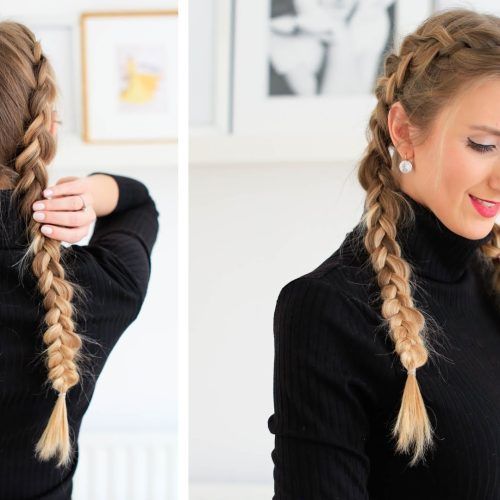 Messy Double Braid Hairstyles (Photo 8 of 15)