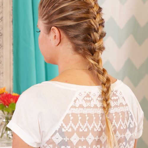 Defined French Braid Hairstyles (Photo 19 of 20)