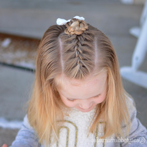 Braided Hairstyles On Top Of Head (Photo 10 of 15)
