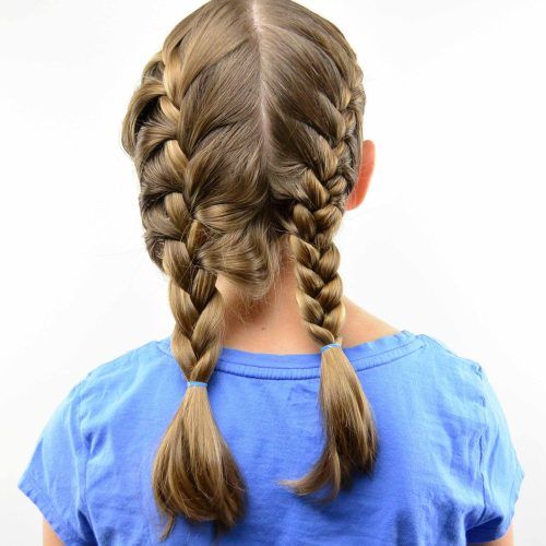 Loose Hair With Double French Braids (Photo 11 of 15)