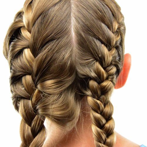 Double Loose French Braids (Photo 14 of 15)