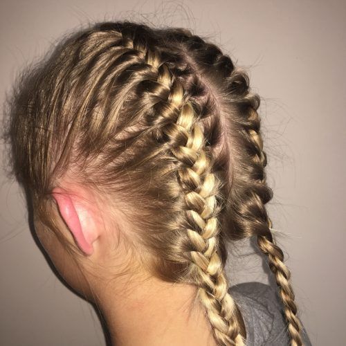Braided Hairstyles To The Scalp (Photo 14 of 15)