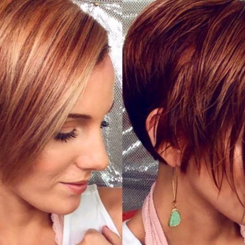 Rounded Pixie Bob Haircuts With Blonde Balayage (Photo 11 of 20)