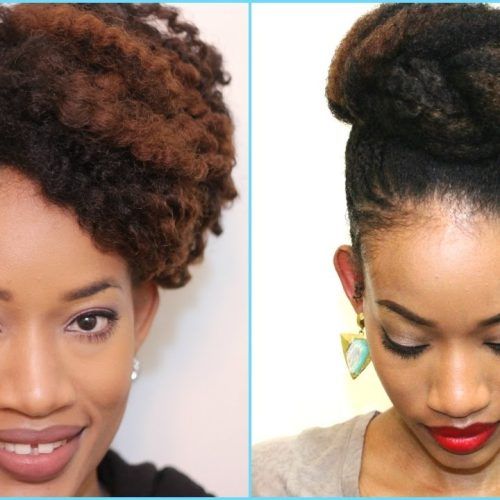 Updo Twist Out Hairstyles (Photo 6 of 15)