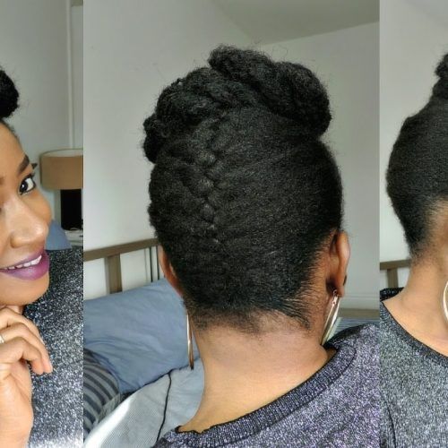 Natural Updo Hairstyles With Braids (Photo 10 of 15)