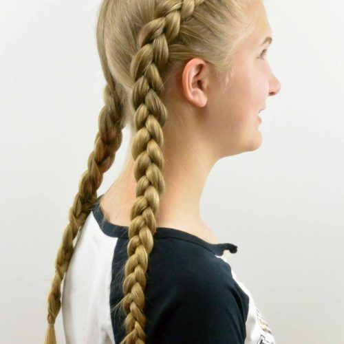 French Braid Pull Back Hairstyles (Photo 15 of 15)