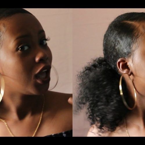Afro Style Ponytail Hairstyles (Photo 6 of 20)