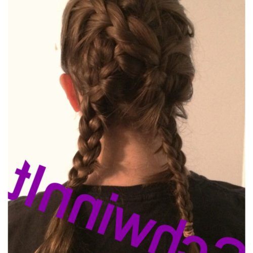 Diagonal Two French Braid Hairstyles (Photo 6 of 15)