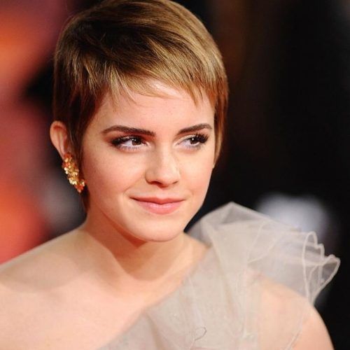 Cute Pixie Haircuts For Round Faces (Photo 13 of 20)