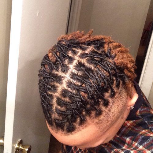 Braided Dreads Hairstyles For Women (Photo 13 of 15)