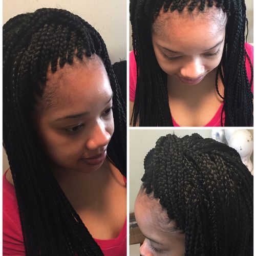 Singles Braided Hairstyles (Photo 8 of 15)