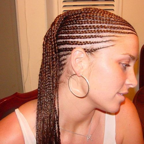 Cornrows Hairstyles For White Girl (Photo 12 of 15)