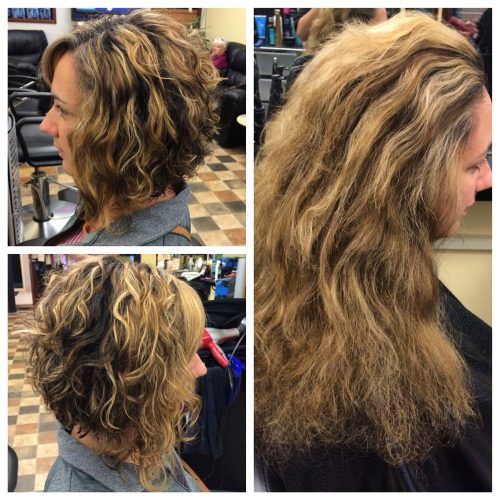 Curly Angled Bob Hairstyles (Photo 1 of 20)