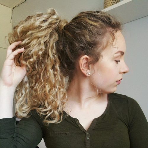 Naturally Curly Ponytail Hairstyles (Photo 8 of 20)