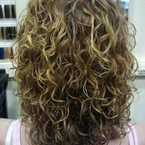 Short Loose Curls Hairstyles With Subtle Ashy Highlights (Photo 5 of 20)