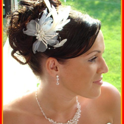 Wedding Hairstyles For Long Hair Up With Veil (Photo 8 of 15)
