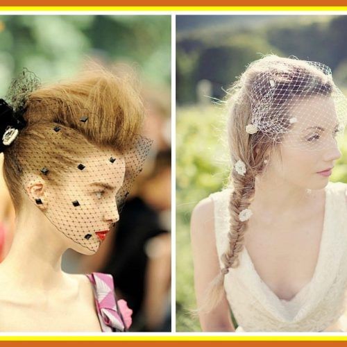 Wedding Hairstyles For Long Hair With Birdcage Veil (Photo 8 of 15)