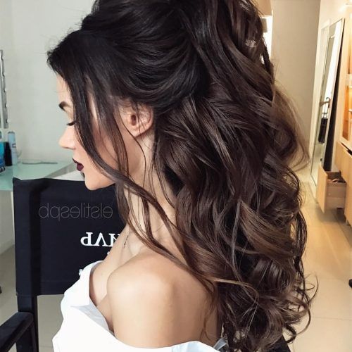 Big And Bouncy Half Ponytail Hairstyles (Photo 8 of 20)