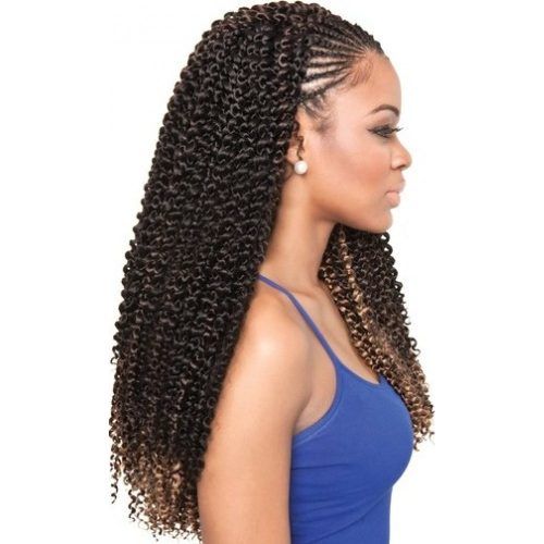 Braided Extension Hairstyles (Photo 4 of 15)