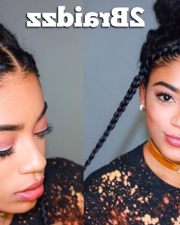 15 Best Collection of Braided Hairstyles with Natural Hair