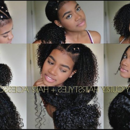 Braided Hairstyles For Naturally Curly Hair (Photo 14 of 15)