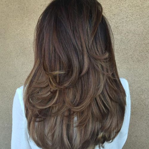 Short Obvious Layers Hairstyles For Long Hair (Photo 14 of 20)