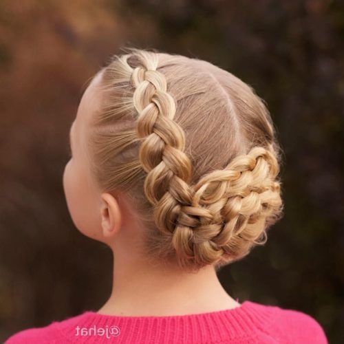 Twin Braid Updo Hairstyles (Photo 9 of 15)