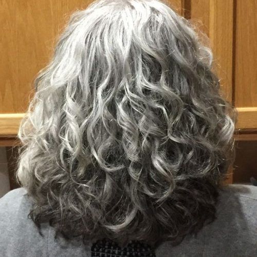 Silver Loose Curls Haircuts (Photo 3 of 20)