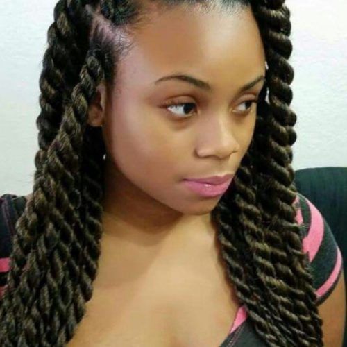 Rope Twist Hairstyles With Straight Hair (Photo 8 of 20)