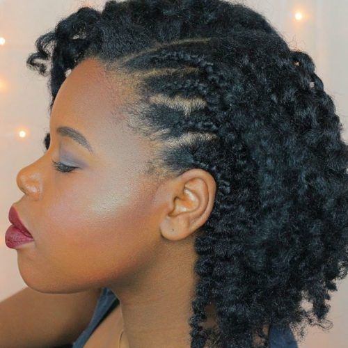 Natural Cornrows And Twist Hairstyles (Photo 3 of 15)