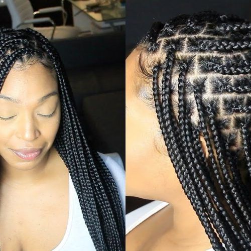 Straight Mini Braids With Ombre (Photo 6 of 20)