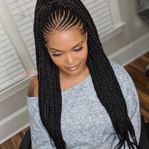 Long Hairstyles With Multiple Braids (Photo 8 of 20)