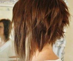 15 Best Collection of Hairstyles Long in Front Short in Back