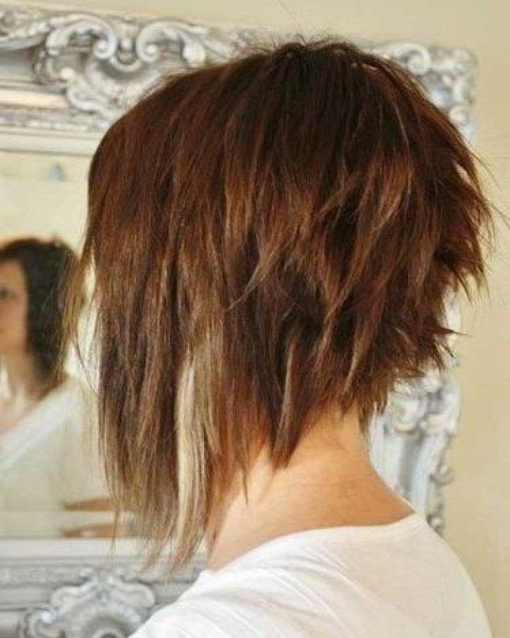15 Best Collection of Hairstyles Long in Front Short in Back