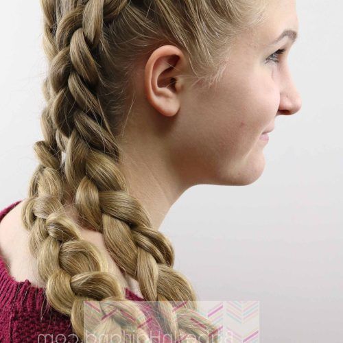 Asymmetrical French Braided Hairstyles (Photo 1 of 20)