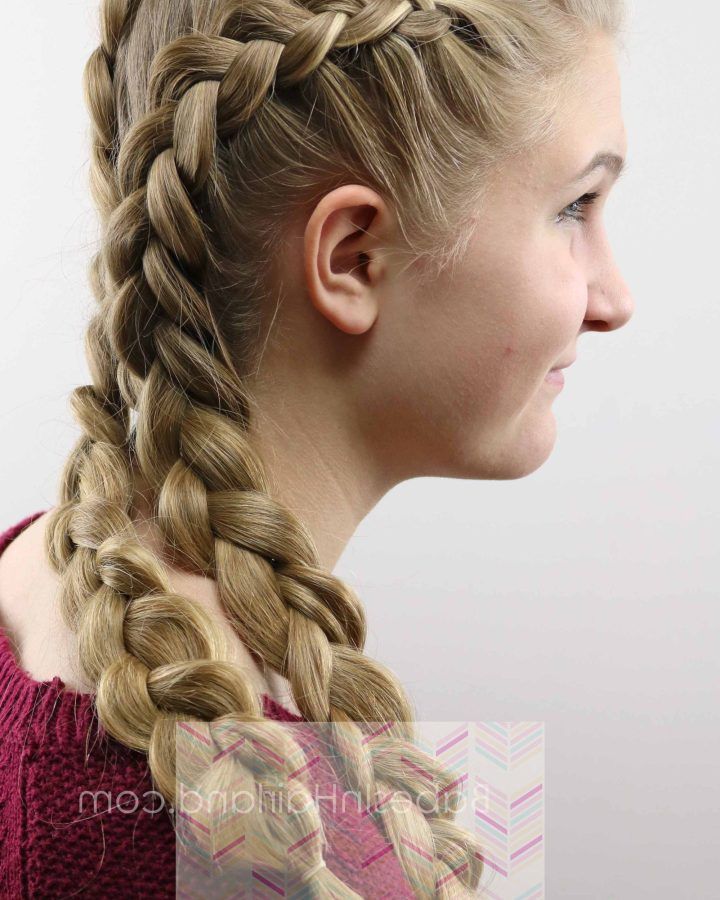 20 Inspirations Asymmetrical French Braided Hairstyles
