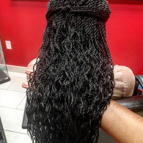 Black And Brown Senegalese Twist Hairstyles (Photo 15 of 20)
