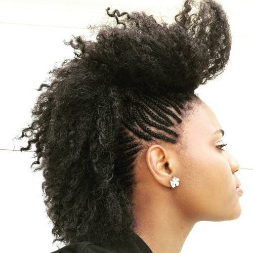 Braided Faux Mohawk Hairstyles For Women (Photo 20 of 20)