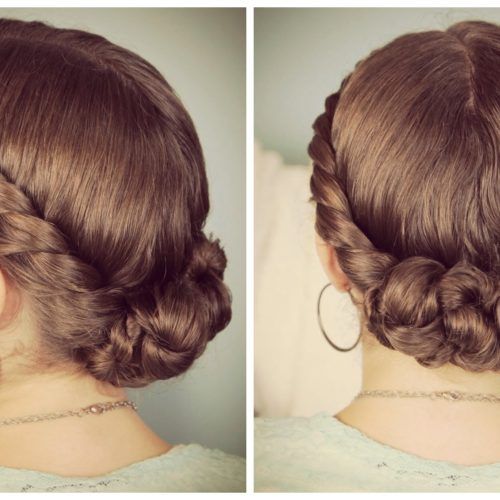 Double Braids Updo Hairstyles (Photo 13 of 15)