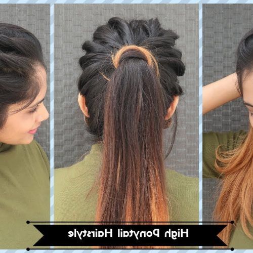High Ponytail Braid Hairstyles (Photo 9 of 20)