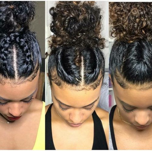 Naturally Curly Ponytail Hairstyles (Photo 16 of 20)