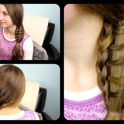 Ponytail And Lacy Braid Hairstyles (Photo 5 of 20)